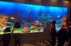 畫畫水族館和互動(dòng)涂鴉的區(qū)別